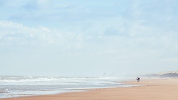 Het strand en de duinen